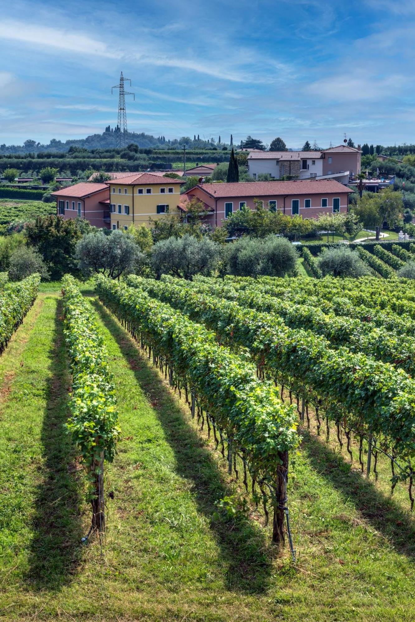 Tenuta Di Palu Bardolino Luaran gambar